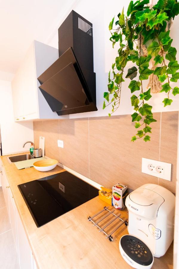 Brown Bear Apt. Boho Style Bedroom W/ City View & Free Parking Braşov Eksteriør billede